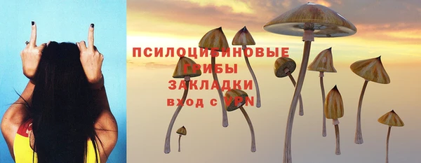 не бодяженный Армянск