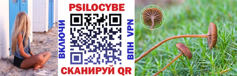 shop официальный сайт  hydra как войти  Валуйки  Галлюциногенные грибы прущие грибы 